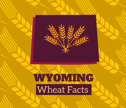 Wyoming Wheat Facts